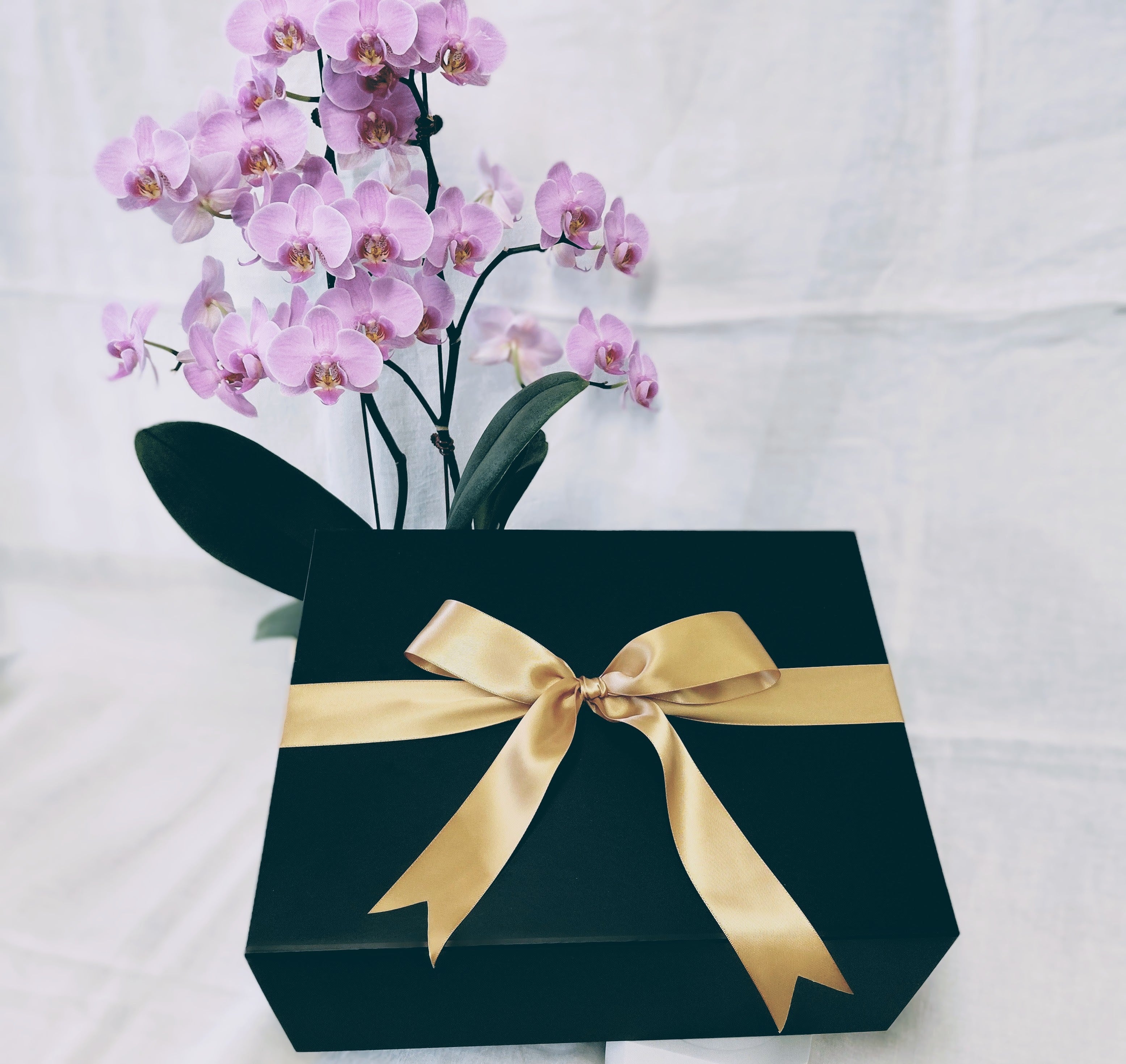 Candle Making Giftset