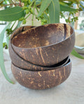 Coconut Bowl